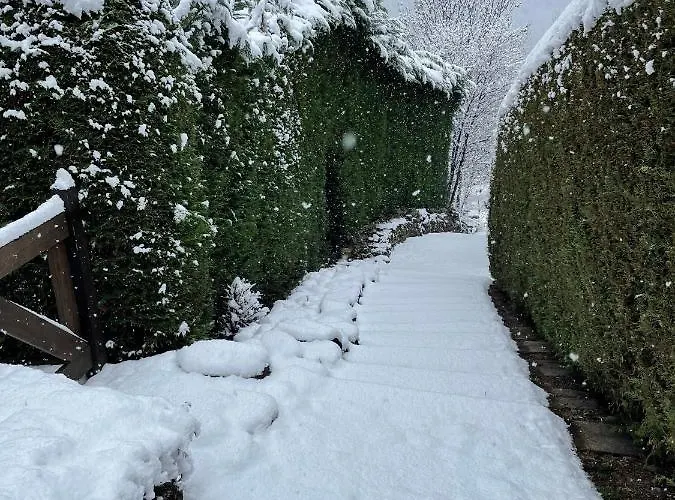 Courmayeur~navetta Gratuita Per Il Centro+impianti Daire